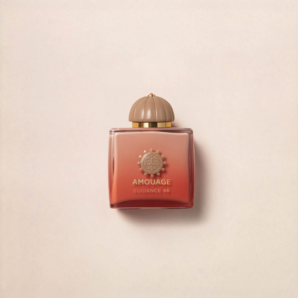Amouage Guidance 46 Exceptional Extrait 100 ml